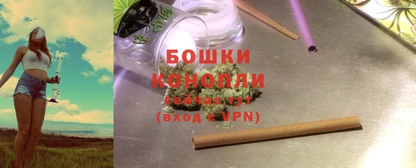 сатива Вязьма
