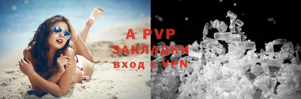 гашик Вязники