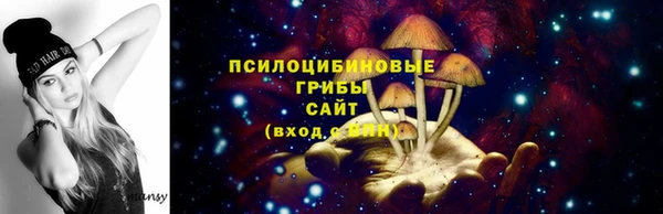 МДПВ Горно-Алтайск