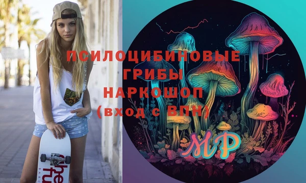 гидропоника Горнозаводск