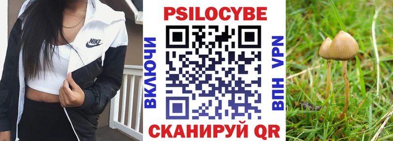 omg ссылки где можно купить мориарти как зайти Галлюциногенные грибы Psilocybe Зарайск